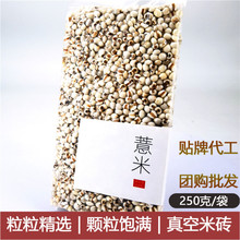 小薏米250克薏苡仁五谷豆漿雜糧組合粗糧貴州農家特產八寶粥薏米