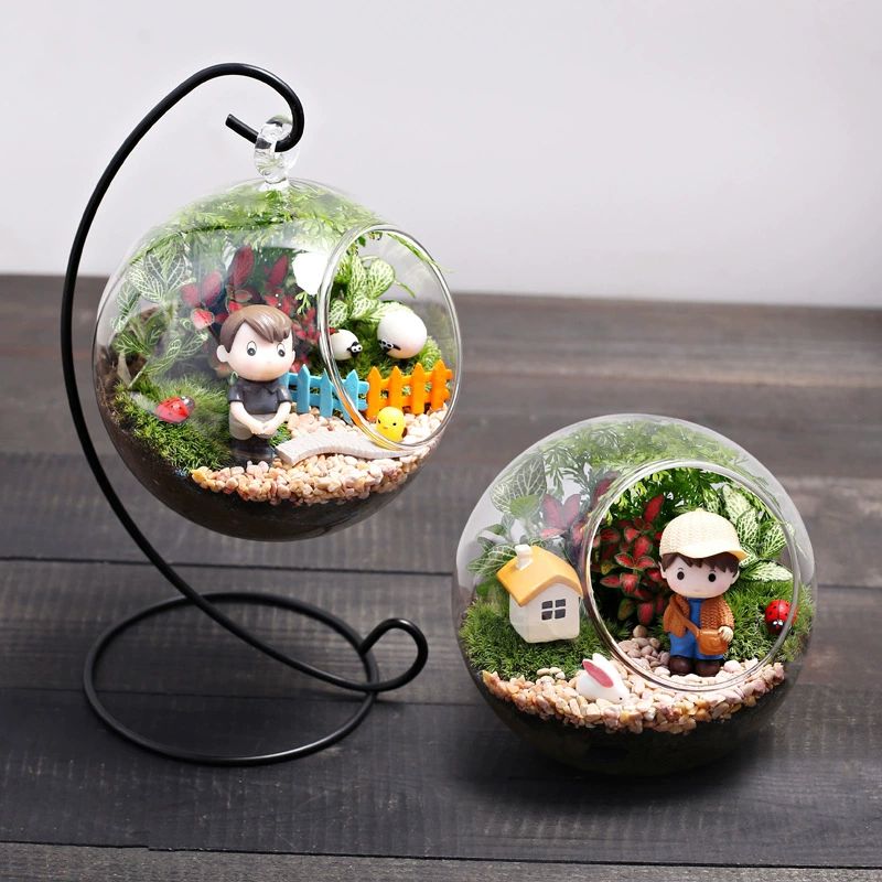 12C мальчик экологическая бутылка зеленый мох микро пейзаж зеленое растение в горшке свежий творческий DIY маленький бонсай настольные украшения