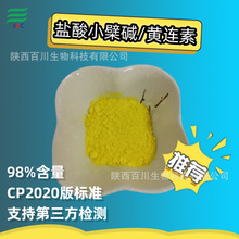 源头厂家 盐酸小檗碱98% 黄连素 黄连提取物 双黄连提取