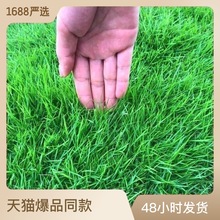 ��ƺ�N���ļ������R�����������o�²�Ƥ���ӻ��ܽM�ϲ���