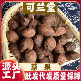 精选云南草果香料卤肉料批发代发零售配合炖肉料
