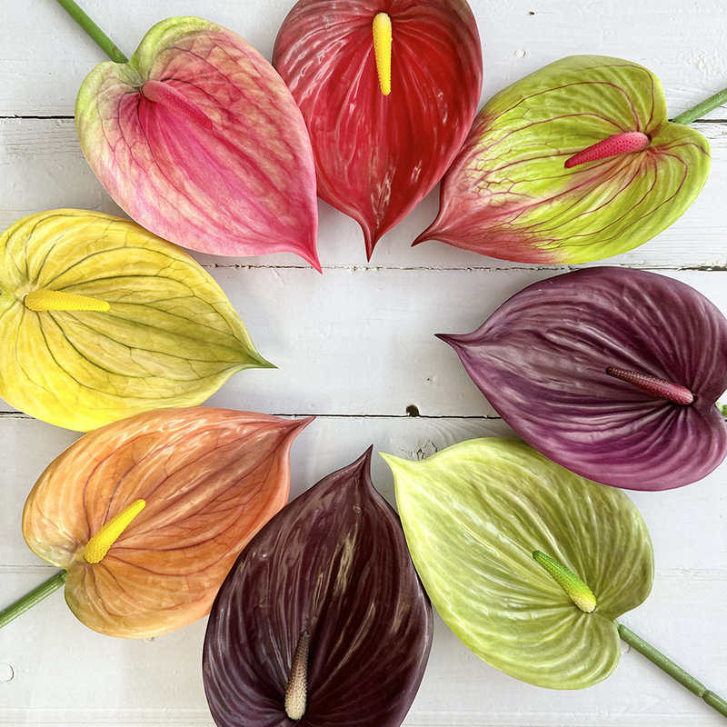 Meichun Medium Guanyinlian Soft Glue Simulation Flower Red Palm Pastoral Pendulum Design Fake Flower Plant Landscape Flower Meichun Medium Guanyinlian Soft Glue Simulation Flower Red Palm Pastoral Pendulum Design Fake Flower Plant Landscape Flower
