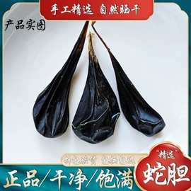 正品蛇胆干中药材眼镜蛇王胆整个1粒包邮正宗武夷山五步蛇蛇胆干