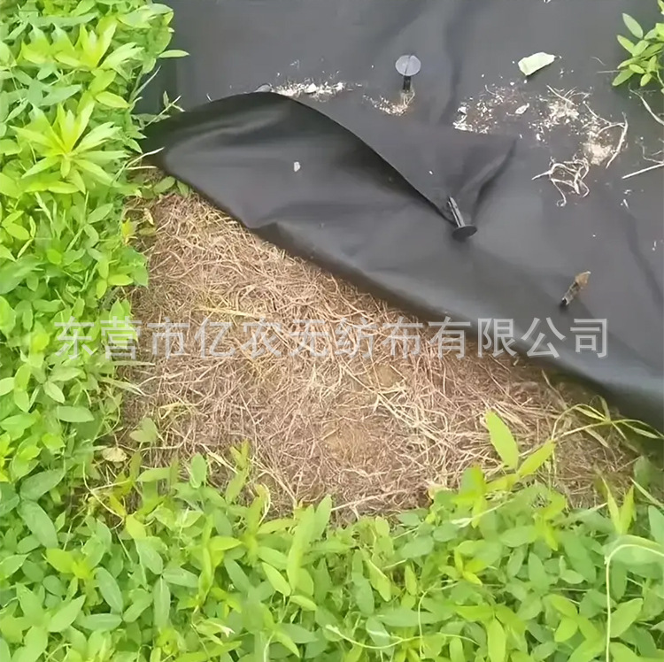 O1CN01OvfgQC1bWgaCpfw68_!!2924243473-0-cib.jpg?__r__=1744185953027