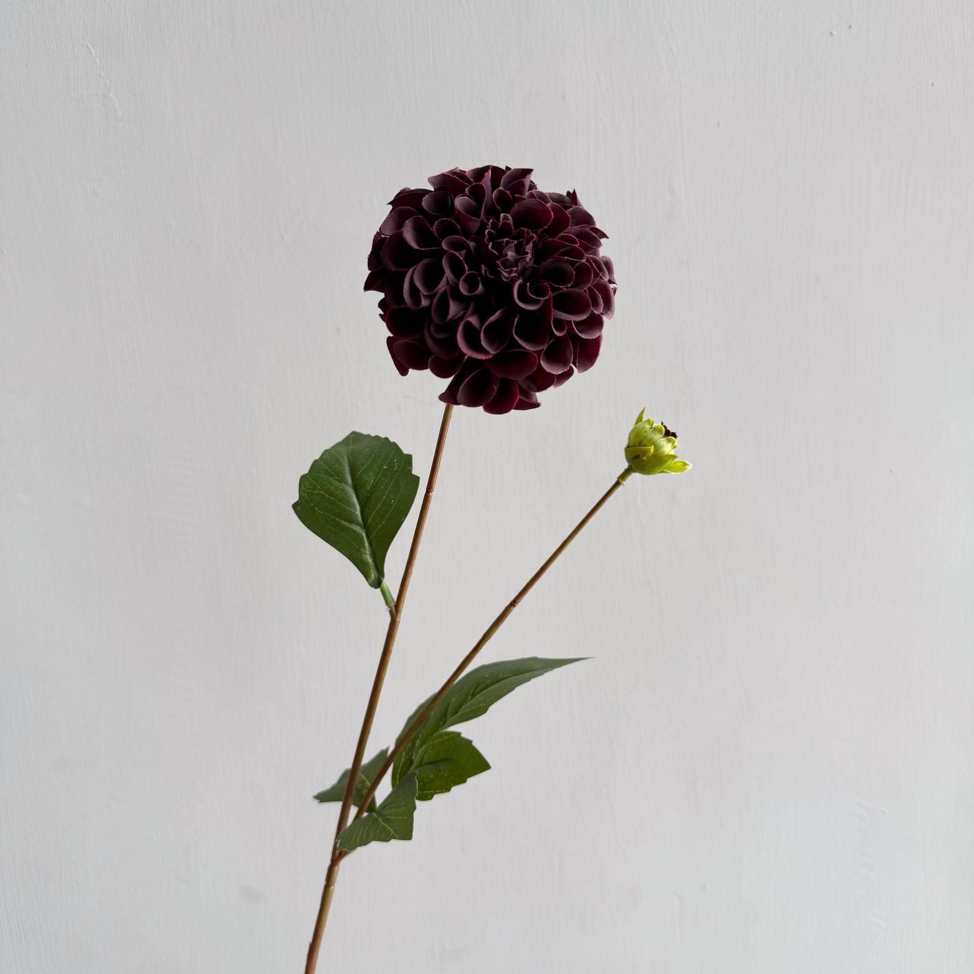 블랙 레드 12#