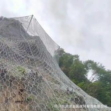 LZ-300开口式帘式网 LF-075 覆盖式帘式网 覆盖式引导防护网