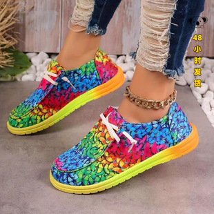 C 66359 Colorful Lace-up Low-top Sneakers �����L�T�f����Ь