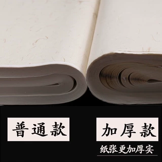 四尺三尺加厚宣纸生宣半生熟熟宣毛笔书法国画专用山水工笔画练习