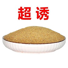 超诱鱼饵散装批发烤麸小麦胚芽特香烘炒麦胚基础饵料小黄面原料