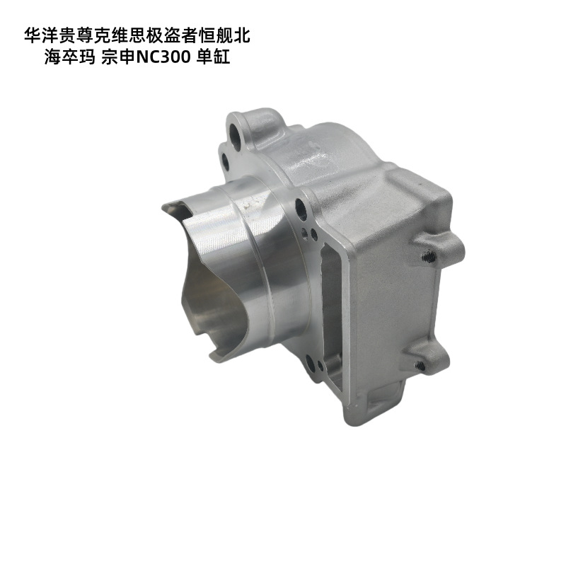 Ready-Stock Motorcycle Parts Suitable for Huayang Guizun Hengjian Beihai Zuoma Zongshen Nc300 Dual Cam Cylinder Kit