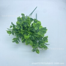 �S��ֱ�N5�^��ݮ�~ ֲ���c���������b廨ˮ�����Բݔ[���͏d