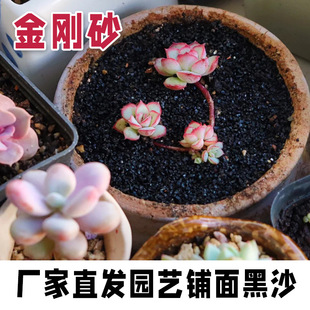 ����ɰ������������ɳ�~���쾰�ڽ�ɳ�矟ɳ��ɰ���P����ĥ��