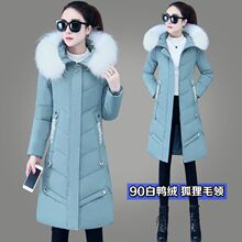 ��Ʒ��q��Ů���L��2026�¿�������q�r��������a�Ӻ��Bñ����