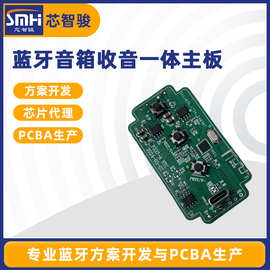 蓝牙音箱收音一体主板批发激光舞台灯PCBA控制线路板加工定制
