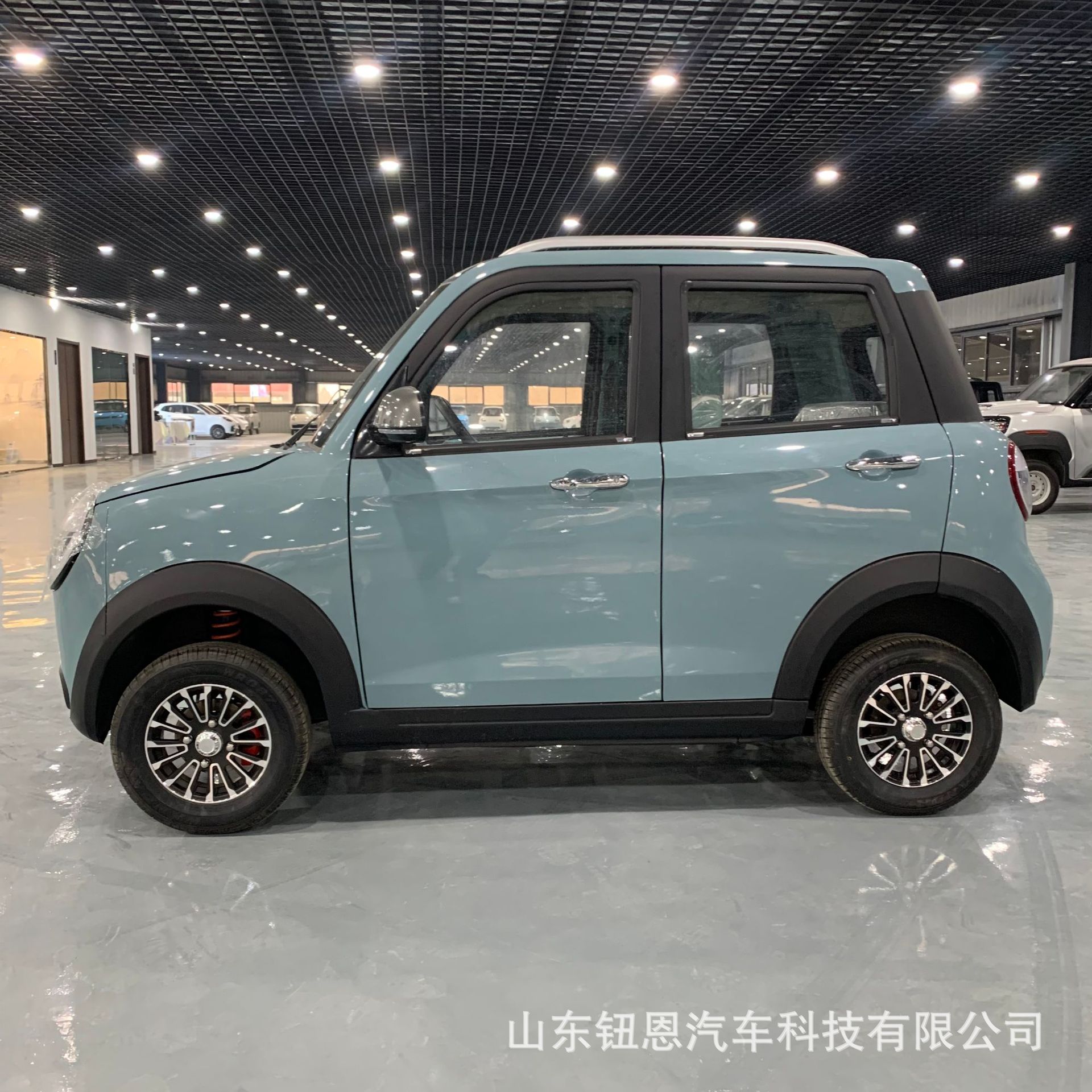Sedan-Style Dual-Fuel Electric Four-Wheeler, Mobility Electric Vehicle, Electric Motorcycle, Cross-Border Exclusive Supply of 60V Lithium Battery Four-Wheeler