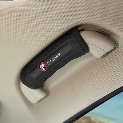 Other Automotive Interior Supplies Car Universal Interior Door - 1-pack-roewe