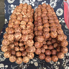 ̫���°؝M��������ꐻ��ִ������۝M���������ɽ�ϱ��M�����ִ�