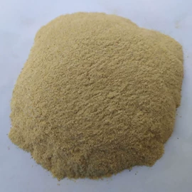 水产干货类;其他水产加工