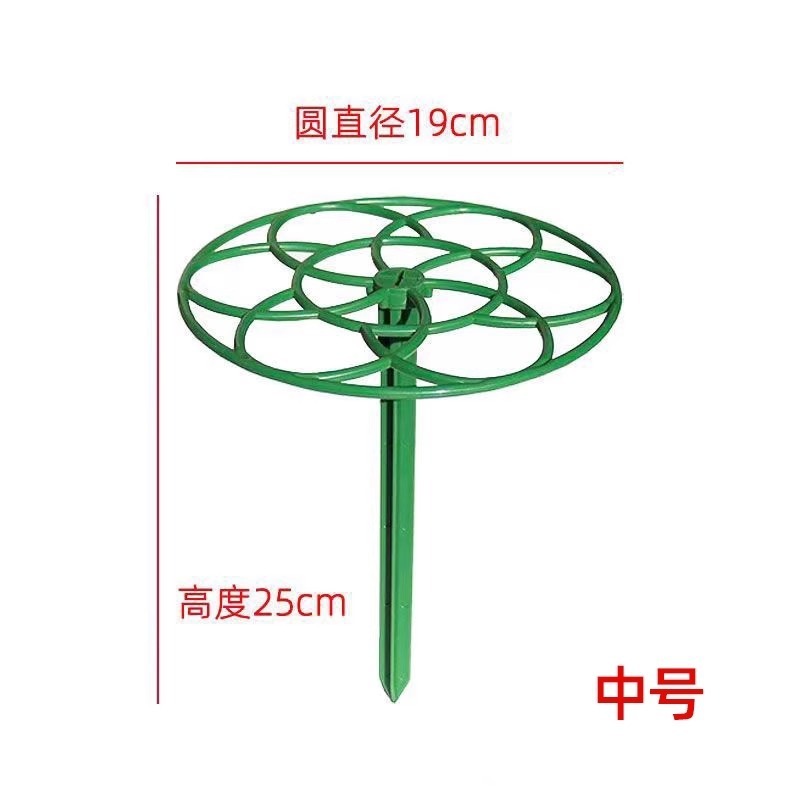 太阳花架棒棒糖造型架防倒伏花架子多层蟹爪兰支撑杆植物爬藤固定|undefined