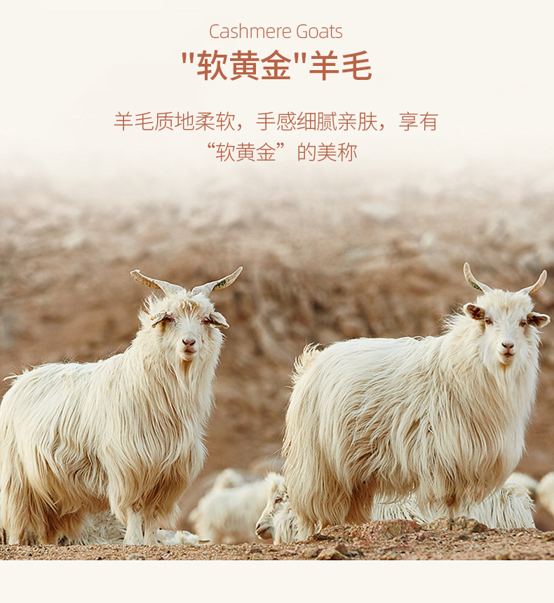 天丝羊毛