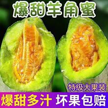 【爆款】山东羊角蜜甜瓜新鲜水果当季脆甜蜜瓜香瓜时令羊角脆整箱