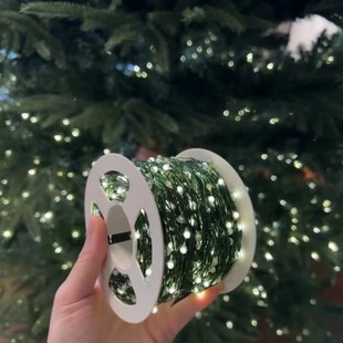 Cross-border waterproof green wire copper wire Christmas tree lamp string remote control wedding flower green plant rattan gyptian star courtyard decoration lamp