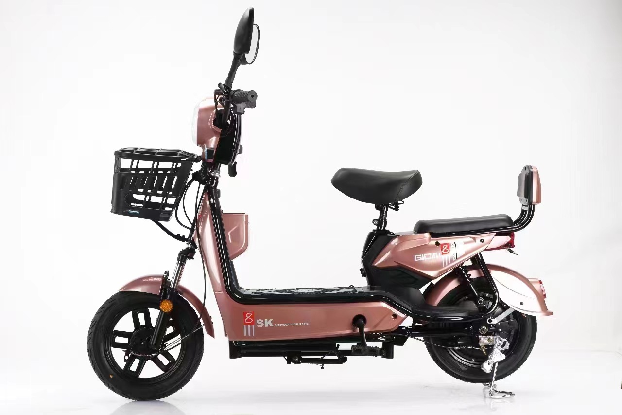 Golden Eagle Electric Bicycle Battery Car Wholesale New National Standard Two-Wheeled Adult Scooter Source Tram Speed Electric Motorcycle