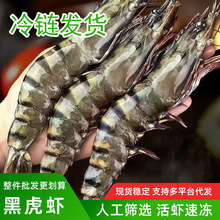 超大黑虎虾新鲜大虾老虎虾鲜活虎虾基围虾特大速冻海鲜斑竹九节虾