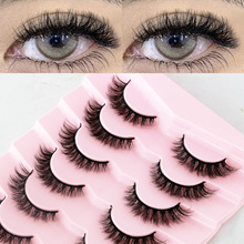 �ߌ��b�W���ڹ��ٽ�ë�������w���N���挦ëһƬʽ�۽�ë����