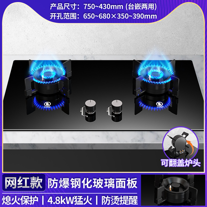卸売 Royalstar ガスストーブダブルストーブ家庭用天然ガスガスストーブ埋め込み液化ガス省エネ強火|undefined