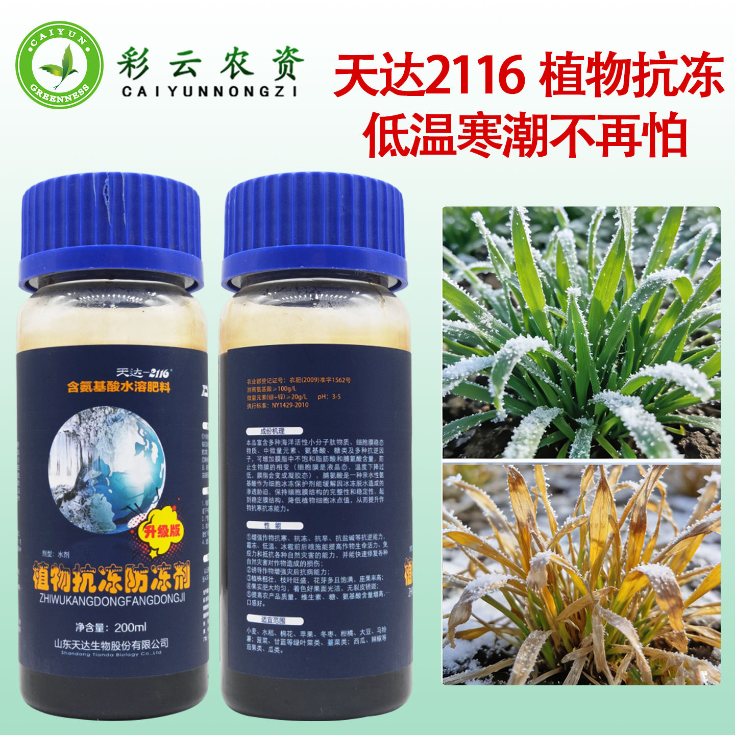 天达2116抗逆防冻剂植物防冻液抗冻剂果树蔬菜缓解冻害抗寒抗冻