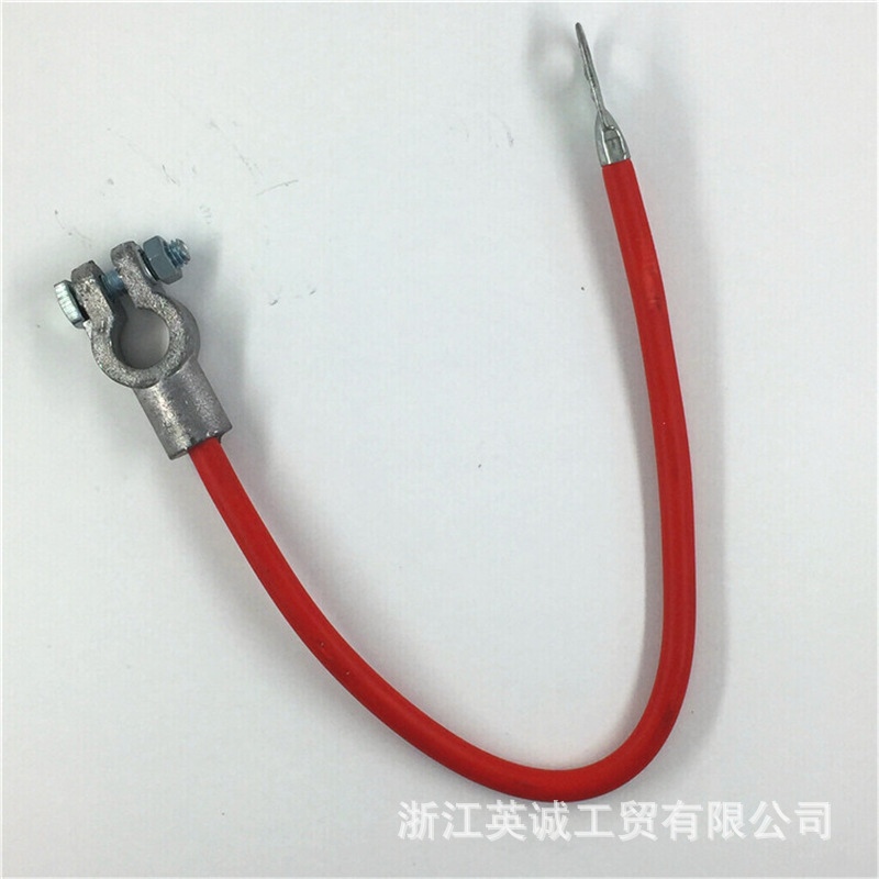CY-TP (10).jpg