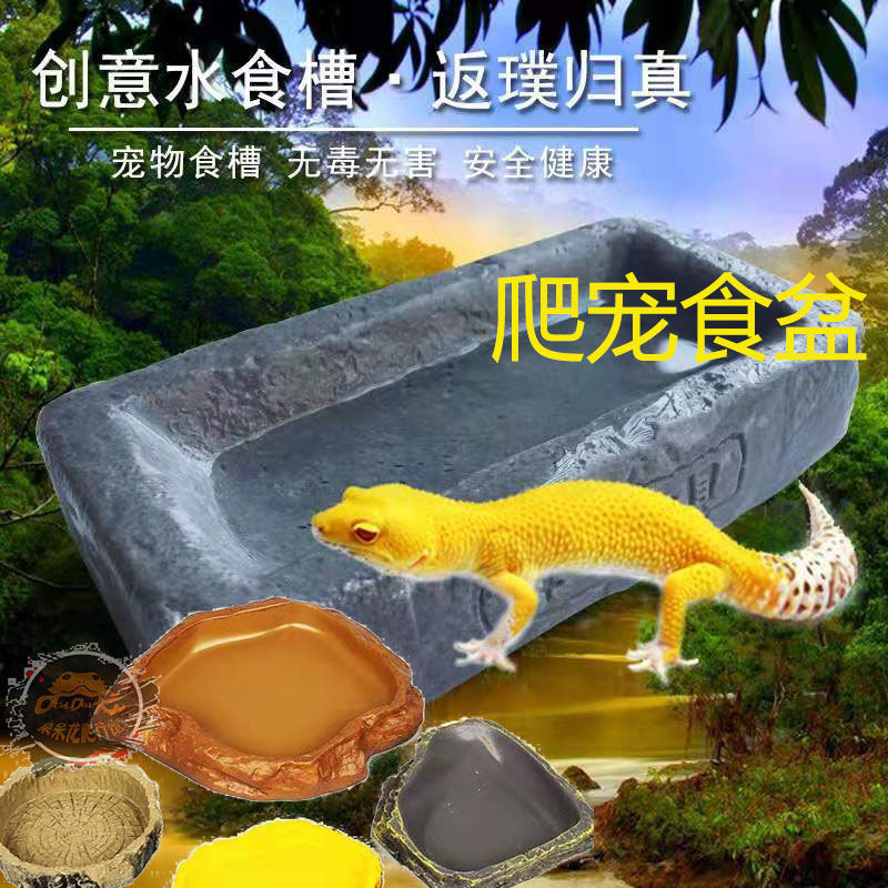 Basin Dishes Tortoise Tortoises Gecko Lizard Dishes Leopard Gecko Reptile Dishes