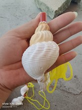 ����̖�ǿɴ����ȿ��ڻ�����̖���Ӄ�ͯ�����С��̖�ܴ����