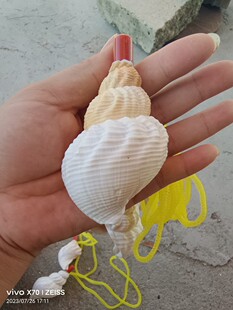 ����̖�ǿɴ����ȿ��ڻ�����̖���Ӄ�ͯ�����С��̖�ܴ����