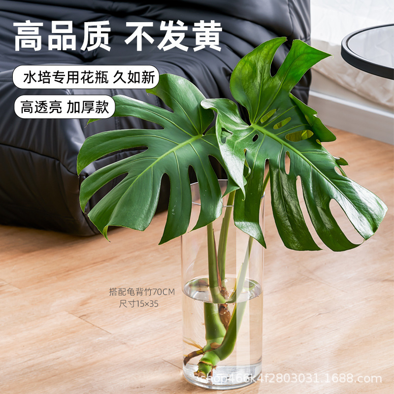 直销花瓶摆件插花亚克力高级感水养水培富贵竹透明防摔塑料大|undefined