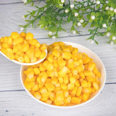 Corn can Xiangjun House Fresh 400g precooked and ready to be eaten Vegetables fruit Salad Material Science factory On behalf of
