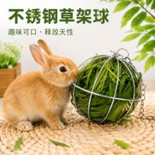 兔子草球 可悬挂喂食草料架 荷兰猪龙猫电镀不锈钢草架球