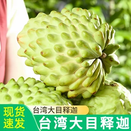 其他水果;块茎类;梨