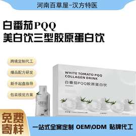 定制白番茄PQQ胶原蛋白饮定制虾青素口服液OEM代工