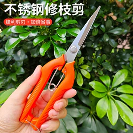 家用剪刀;修枝剪