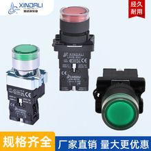 厂家直供LAY5 防水IP65 22mm金属塑料平钮自复按钮开关带指示灯22