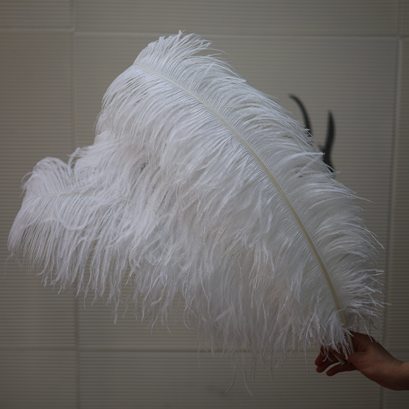 Plumas de avestruz bodas blancas de avestruz guía de plumas accesorios de fotos adornos rojo rosado en línea grandes plumas decoración