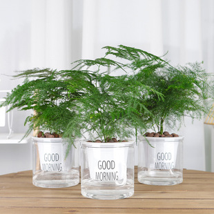 �Gֲ���Դ������k���҃ȿ͏d�����՚⻨���׻�ֲ���辰���Bֲ�ﻨ