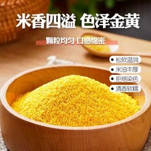 新货黄小米农家小米小黄米月子米宝宝米杂粮颗粒饱满香糯五谷杂粮