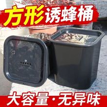 中蜂诱蜂桶方形黑色塑料桶野外引蜂招蜂桶捕捉蜜蜂收蜂笼养蜂包邮