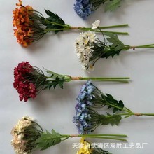 ʾշ滨WʽСrռٻӼbСҰսl