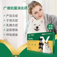 Baiyunshan Baoshen Ветеринарная медицина Таблетки с энрофлоксацином Микоплазменная инфекция Бактериальные заболевания Лекарства для кошек, собак, кур, уток и птицы