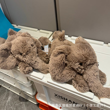 ʷ�R������35cm�ɐ�ë�q��߰���������ż����Ů���Y��