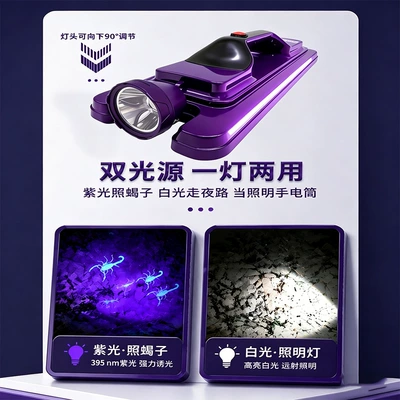 UV fənərlər – Specifically for Scorpions